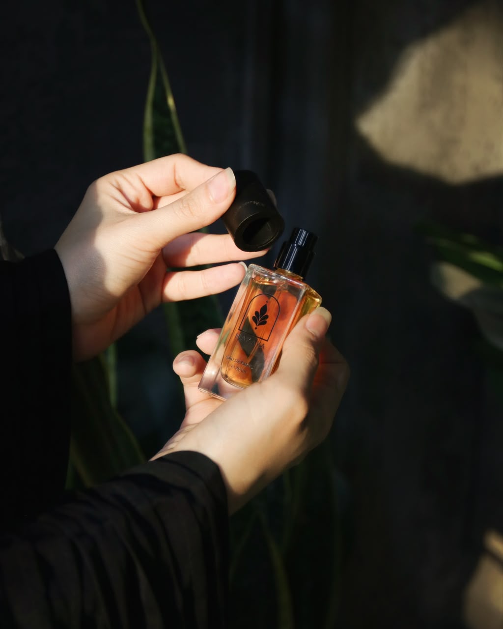 عطر حكايا - 7